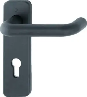 FS-Garnitur Paris FS-K138/202K Ku.F9005M D/D TS 40-66mm PZ ktg.DIN L/R HOPPE Begrenztes Angebot