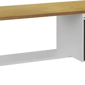 Werkbank grau lichtgrau B2000xH859xT750mm Buche Multiplex 40mm 1 Schubl.1 Tür Jetzt Bestellen