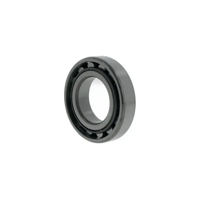 Zylinderrollenlager N209 ID 45mm AD 85mm Breite19mm NACHI Preis Gesenkt