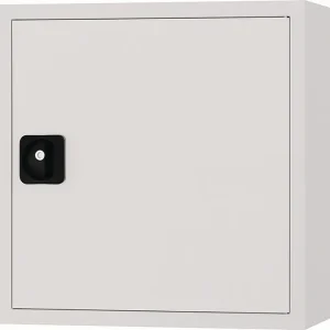 Hängeschrank H600xB600xT200mm Vollblechtür lichtgrau/lichtgrau Direktkauf